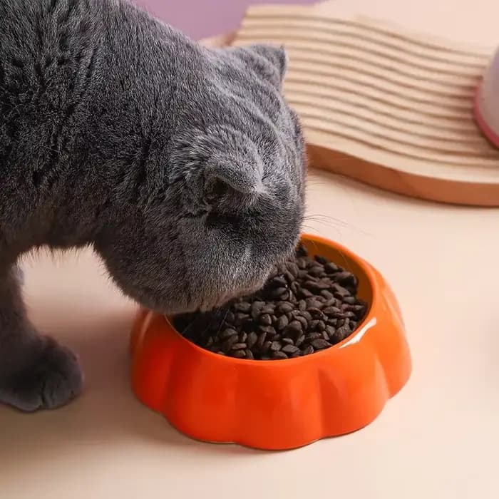 Petits bols pour chats aux designs mignons