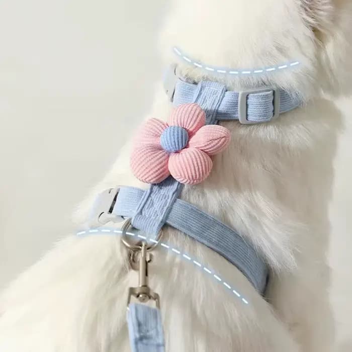 Ensembles de harnais et de laisse pour chat