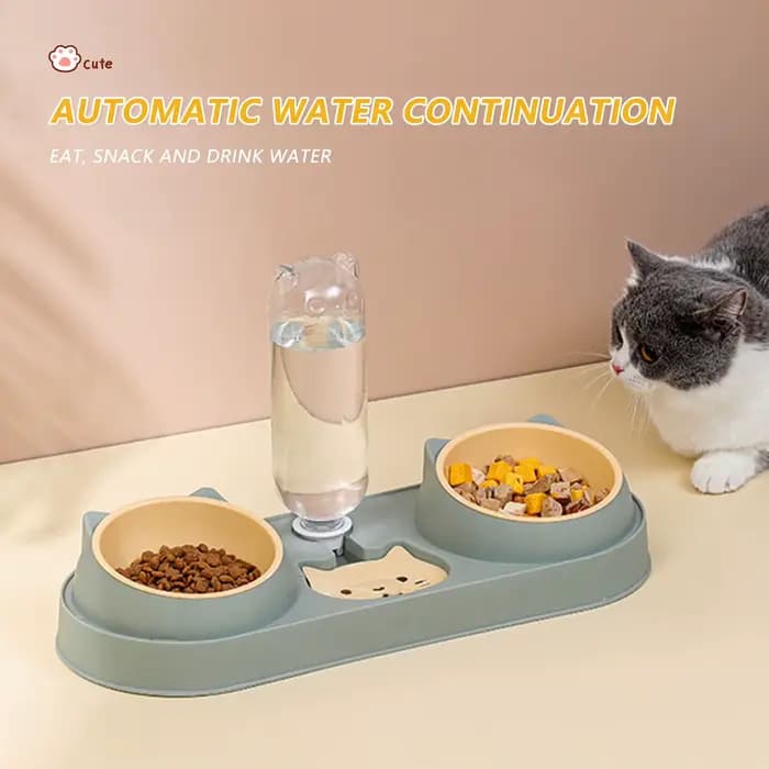 Bol pour chat de compagnie mangeoire automatique bol de nourriture pour chien avec fontaine d'eau Double bol à boire support surélevé bols pour chats