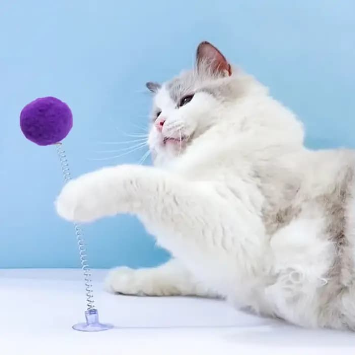 Boule de fourrure pour chat
