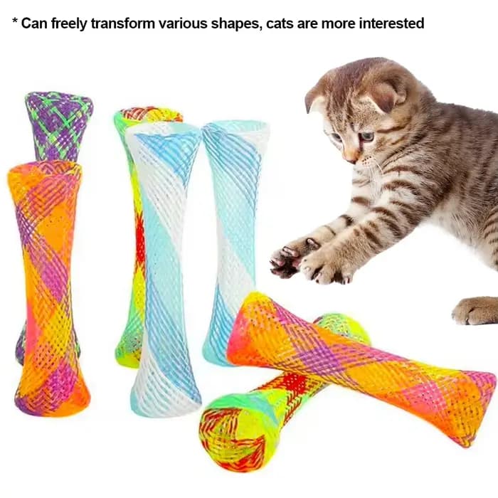 Jouets à ressort pour chaton et chat