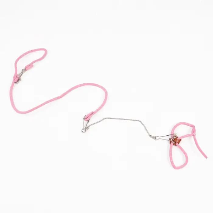 Laisse SFP souple réglable pour petit animal de compagnie
