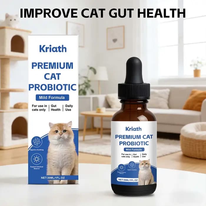 Probiotiques pour chats de qualité supérieure