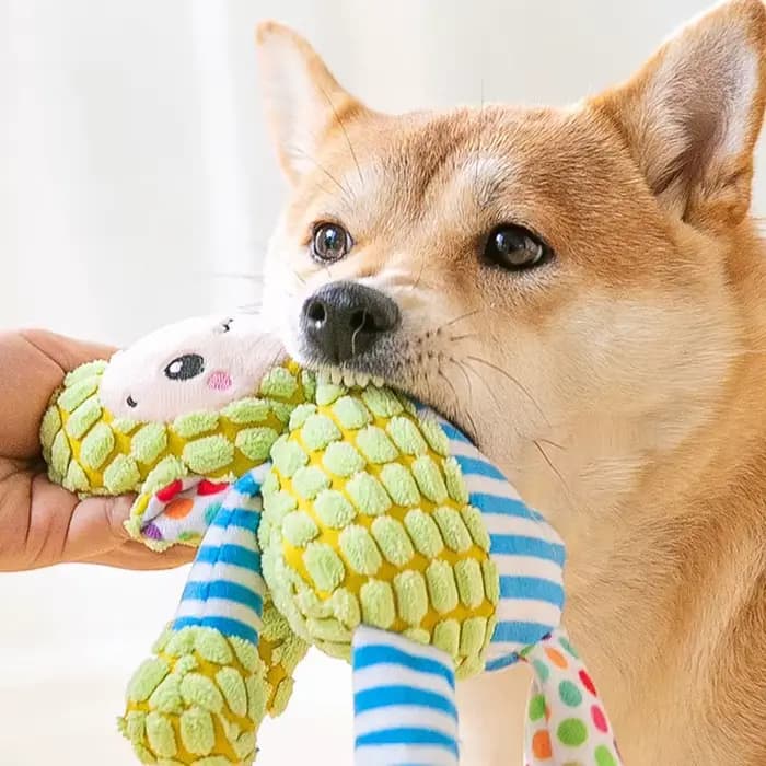 Jouet en peluche pour animaux de compagnie