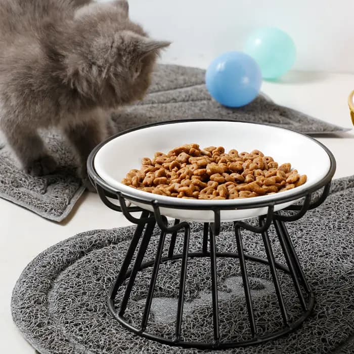 Bols en céramique surélevés et larges pour chats