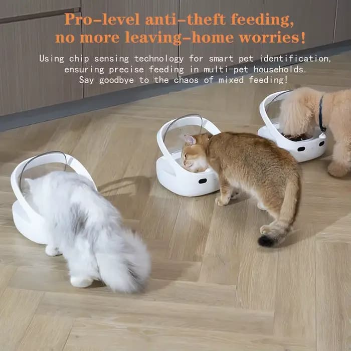 Nouveau mangeoire Petoneer NutriCare sur mesure pour les ménages multi-animaux
