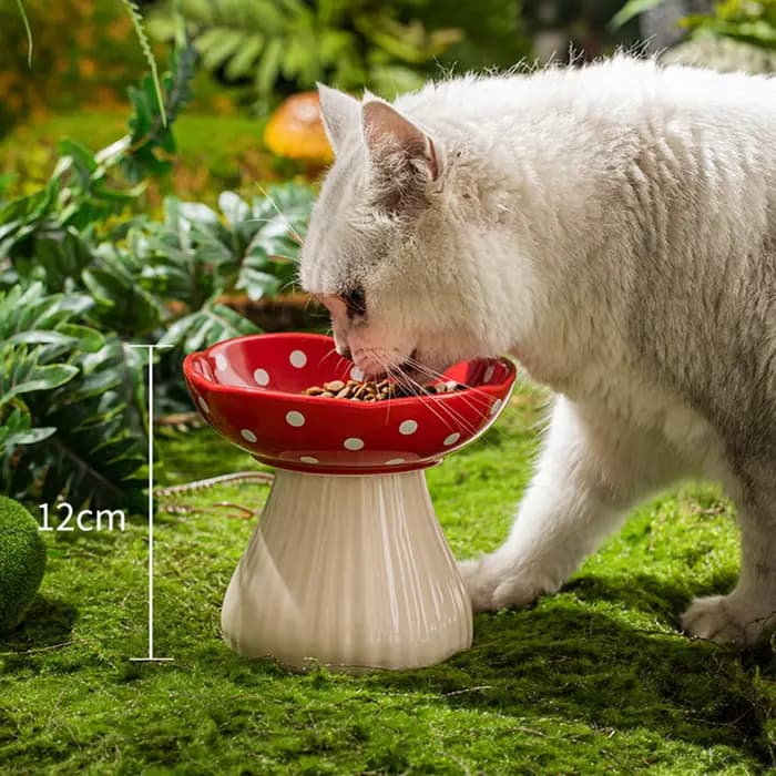 Bol pour chat en céramique de 6 pouces