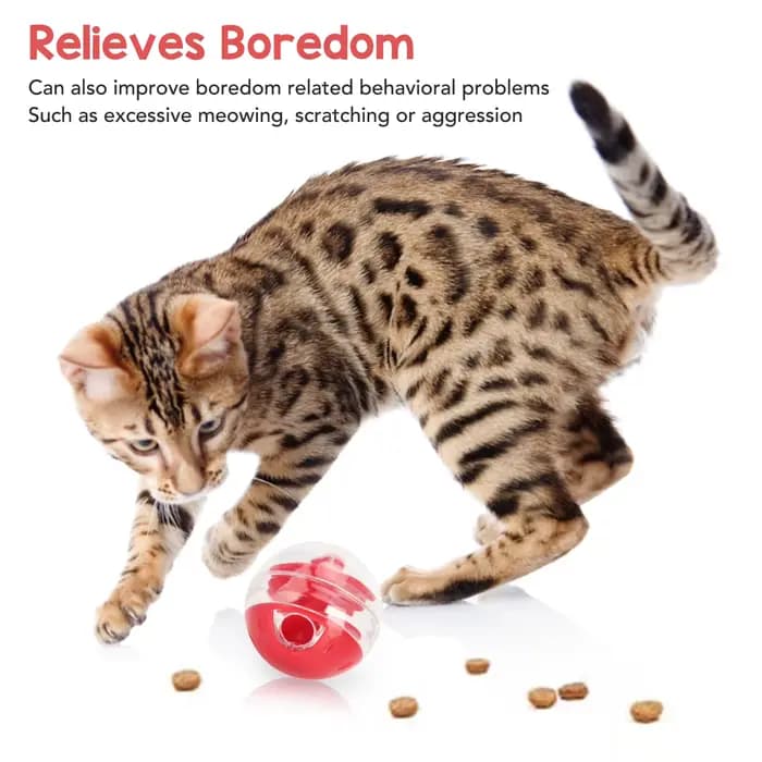 Boule de puzzle interactive pour chat