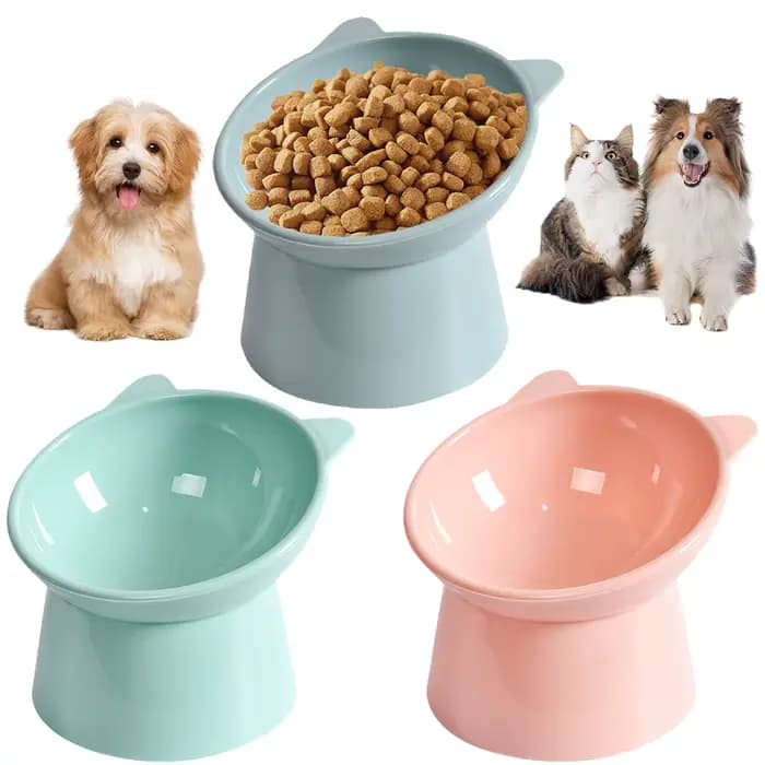 Bol incliné pour nourriture pour chat