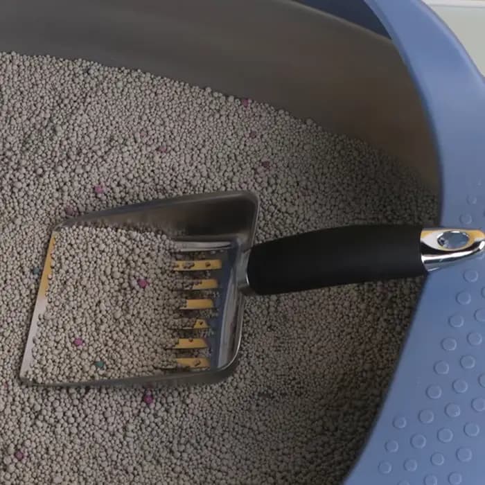Nettoyage au sable pour chat