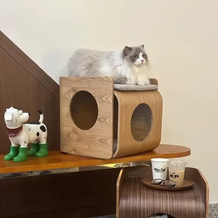 Maison en bois pour chat
