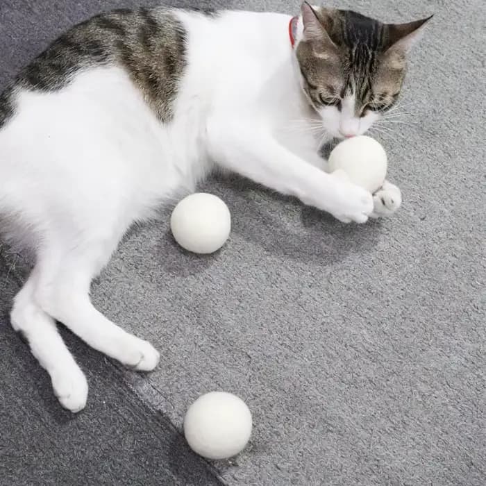 Lot de 3 jouets pour chat en laine