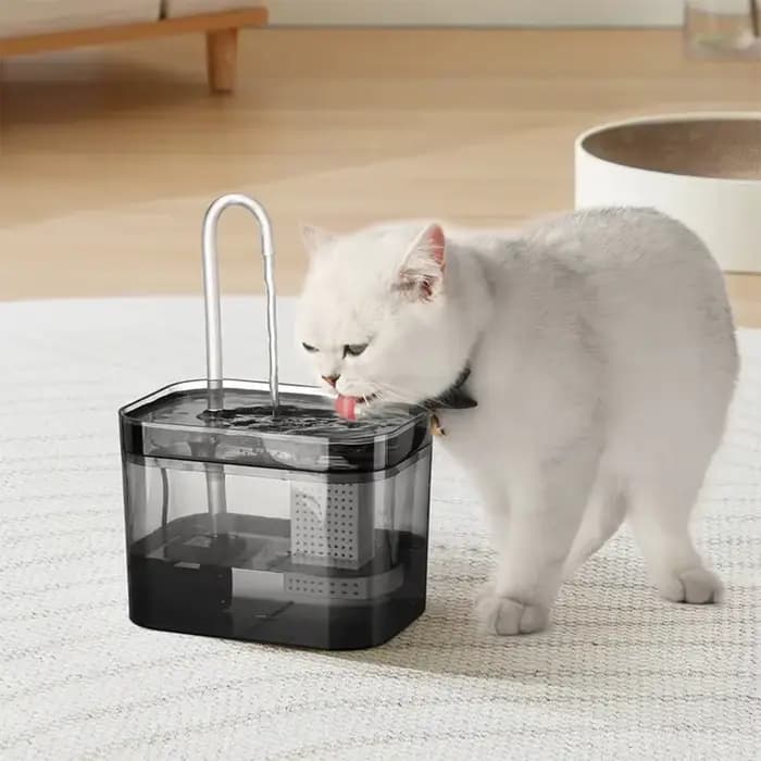 Fontaine d'eau pour chat avec filtre automatique USB