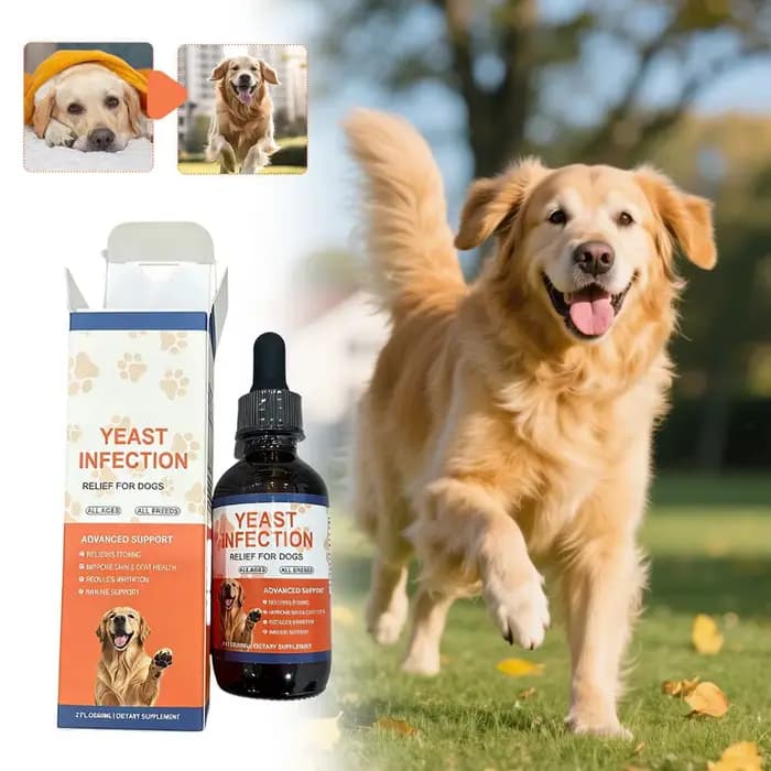 60 ml – Nouveau Supplément Nutritionnel Apaisant pour Animaux – Soulagement des Démangeaisons Cutanées