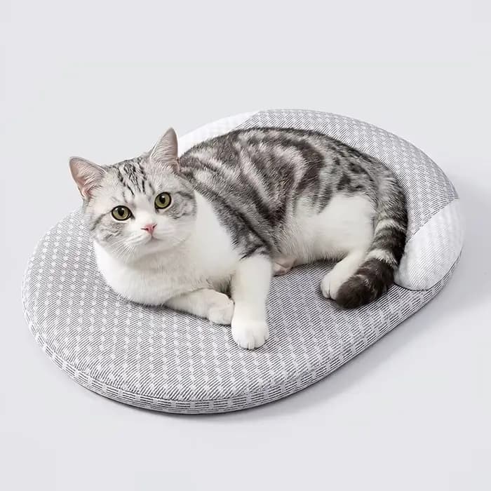 Lit rafraîchissant pour chat – Tapis