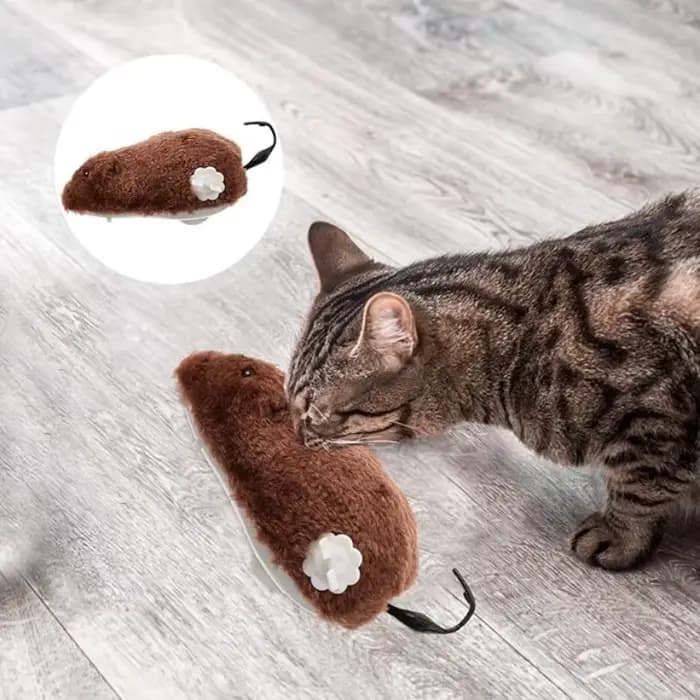 Jouet pour chat réaliste et drôle