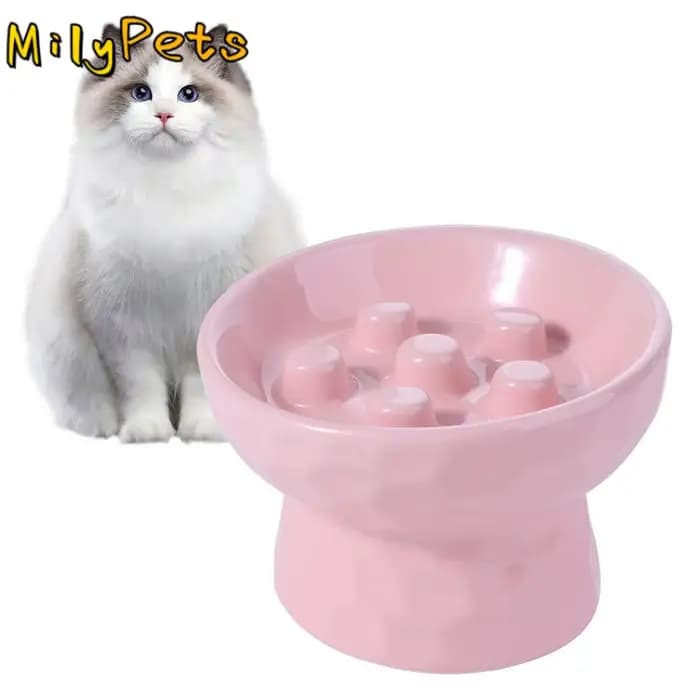 Bol d'alimentation lente en céramique pour chat