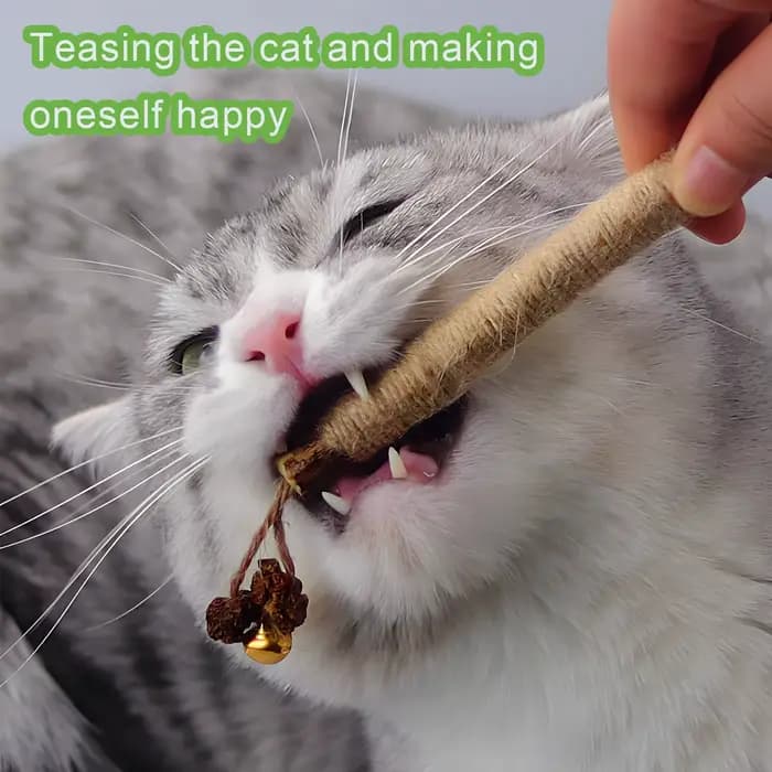 Silvervine Bâtons à mâcher pour chat