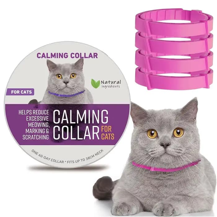 Collier apaisant pour chien et chat, sangle de cou en plastique, collier apaisant pour chat réglable, soulage l'anxiété, élimine l'agitation, produit apaisant pour animaux de compagnie