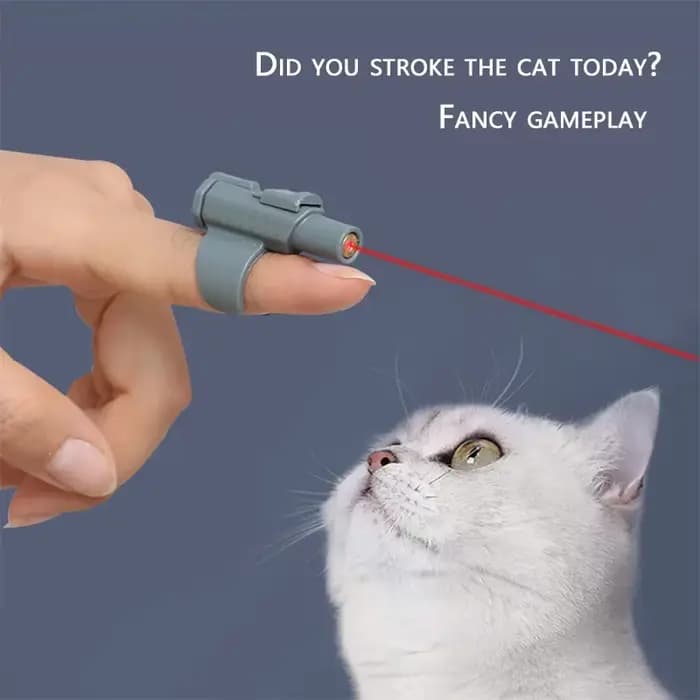 Mini-jouet laser pour chat