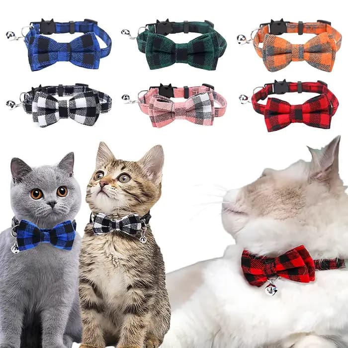 Collier réglable pour chat