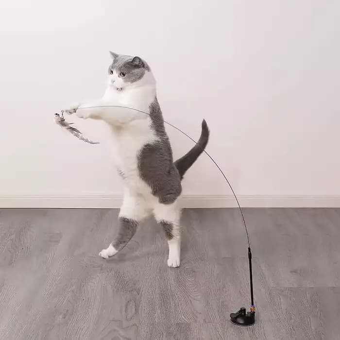 Jouet interactif pour chat en forme d'oiseau