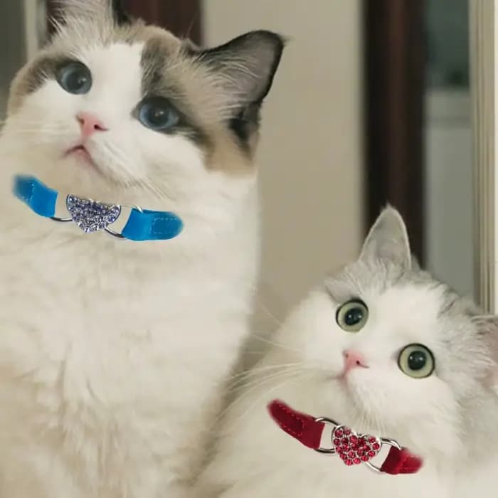 Collier pour chat en forme de cœur avec cloche
