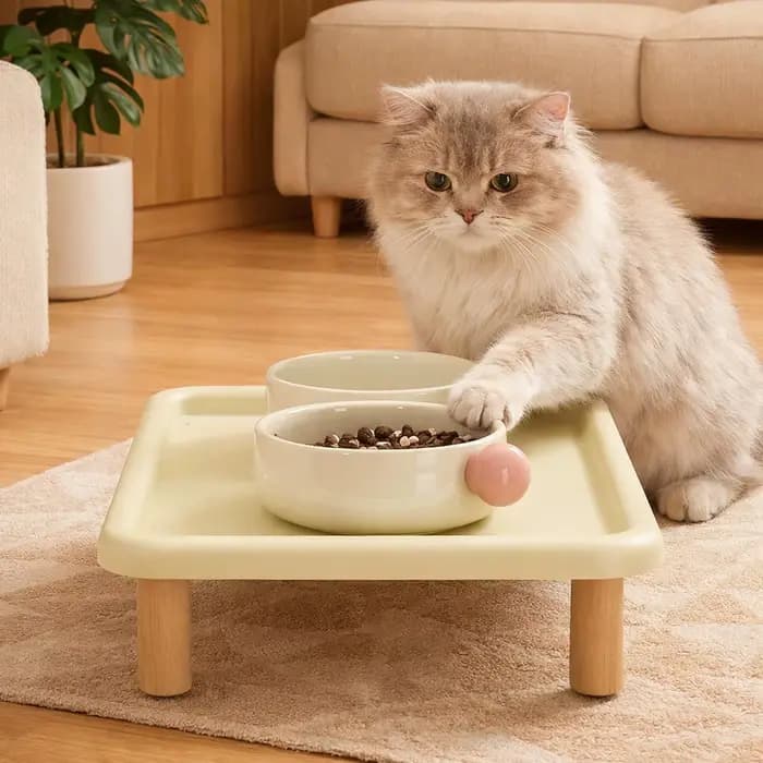 Plateforme surélevée pour gamelles de chat pour distributeurs automatiques de nourriture, support d'alimentation surélevé en bois pour chats et chiens