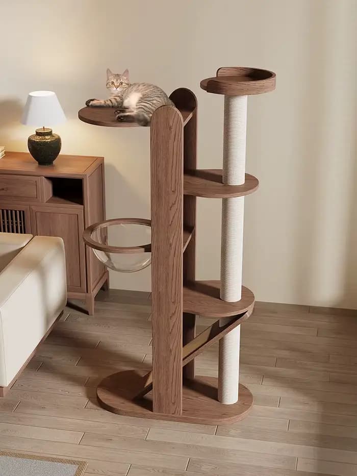Cadre d'escalade pour chat