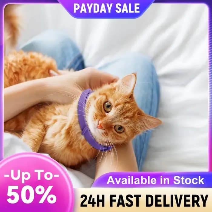 Collier apaisant pour chat