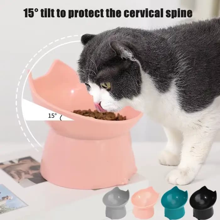 Bol surélevé pour chat