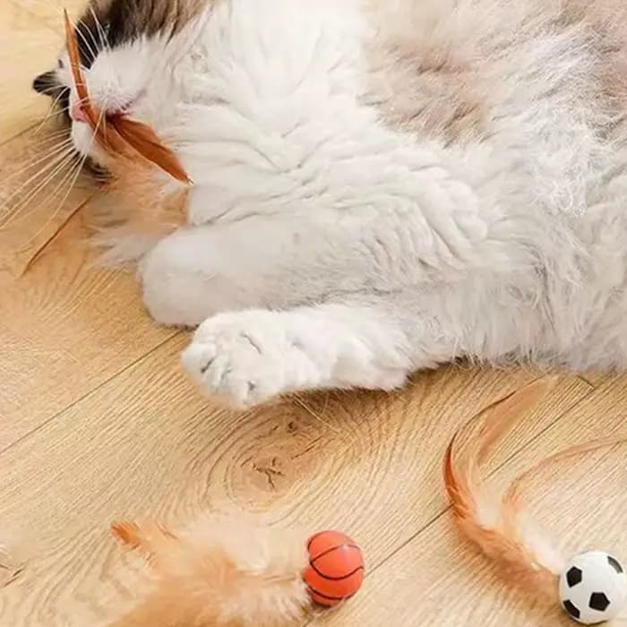 Jouets interactifs de balle de plumes de chat