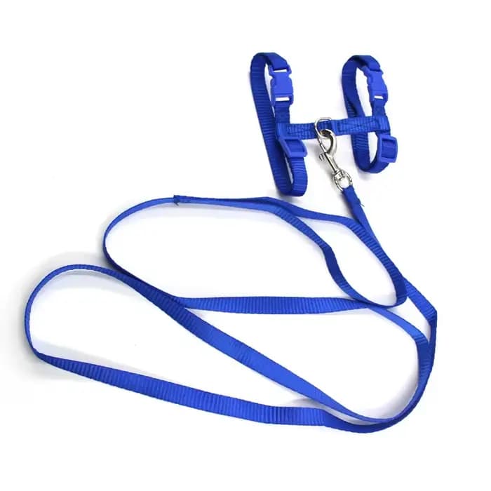 Collier de harnais pour petit chien et chat