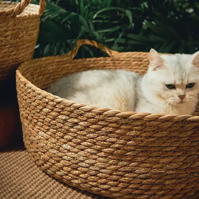 Panier en rotin tressé pour chat