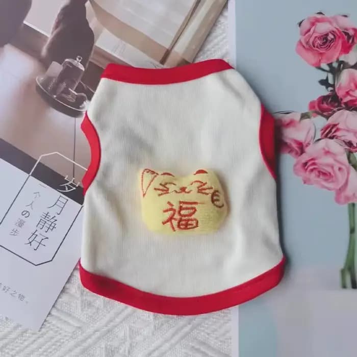Vêtements pour chaton de 0 à 3 mois