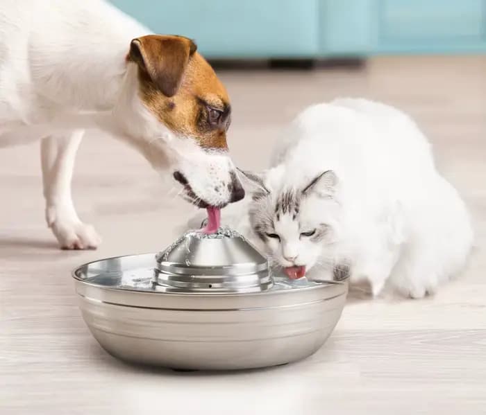 Fontaine à eau automatique 2LCat pour chats