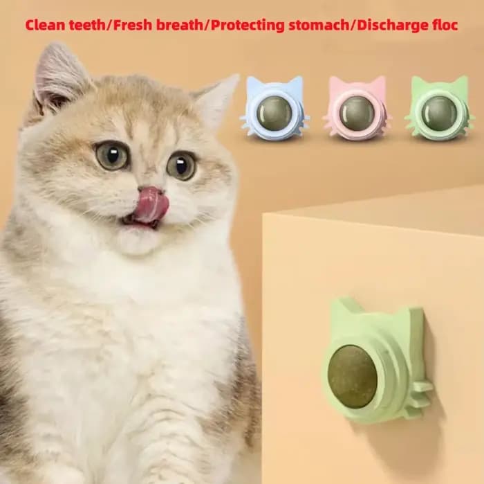 Jouets à la Catnip pour chats – Balle interactive murale d'intérieur à rotation