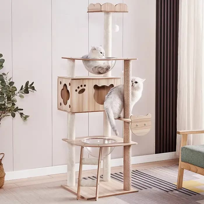 Arbre à chat multi-niveaux pour chats de grande taille