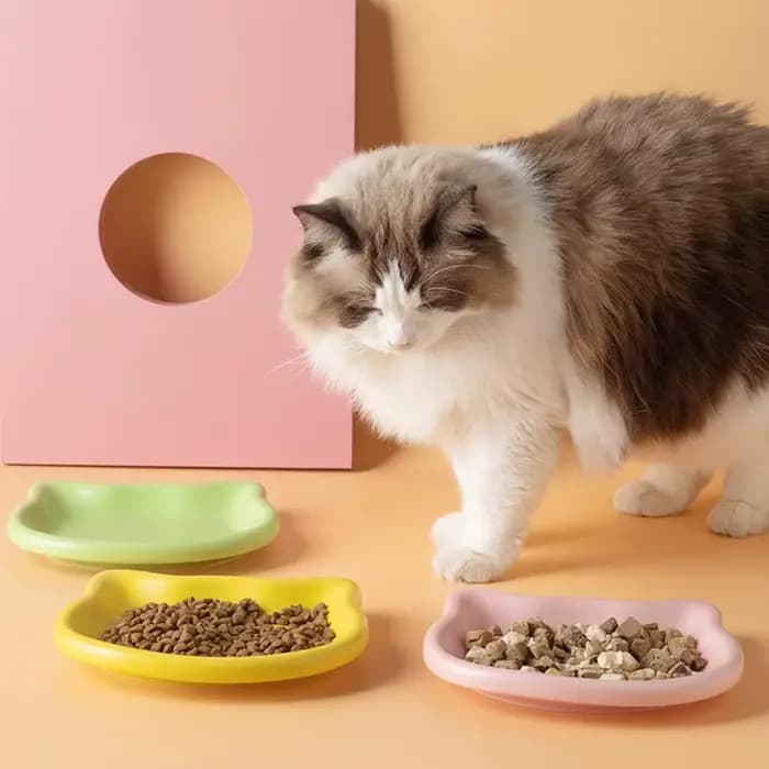 Bols pour animaux de compagnie en forme de chat