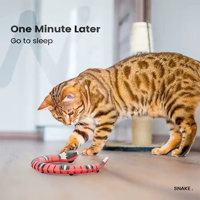 Jouets automatiques pour chats