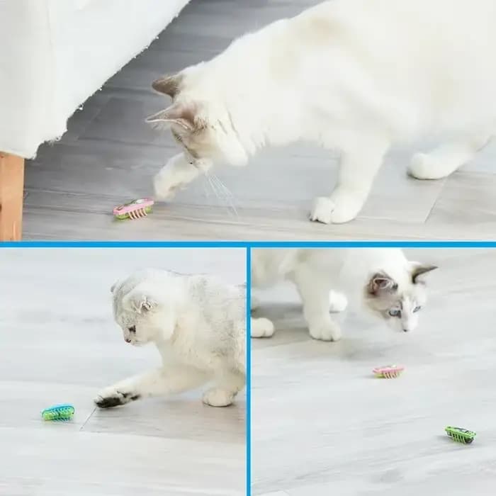 Jouet anti-insectes électrique interactif pour chats