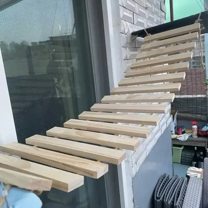 Échelle d'escalade en bois naturel pour chat