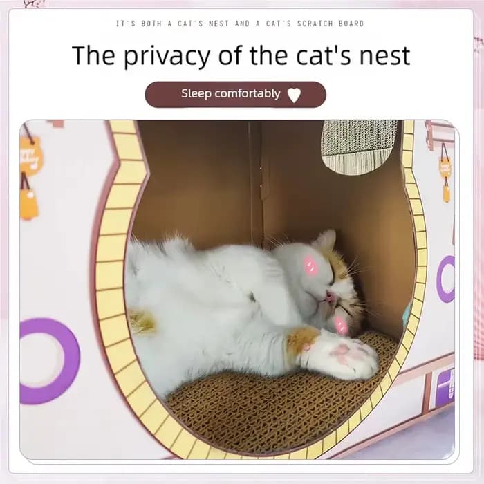 Litière pour chat, planche à gratter pour chat