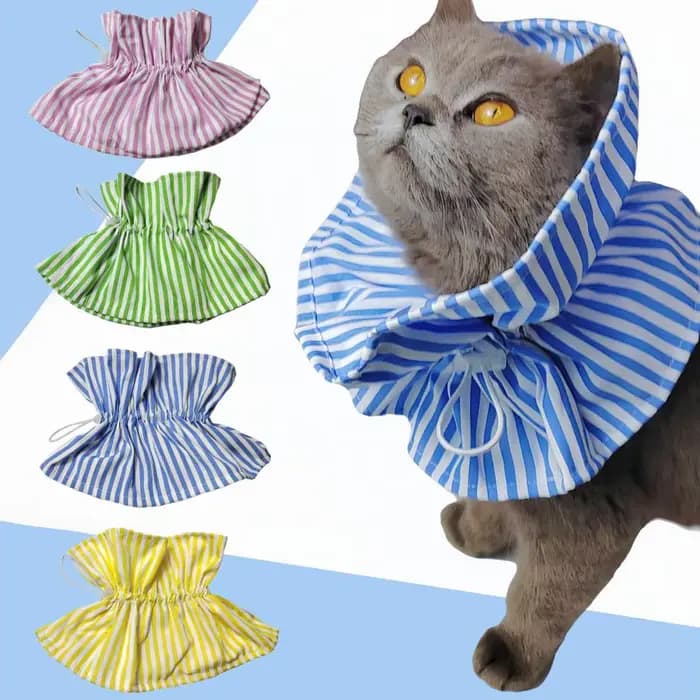 Collier de protection pour chat