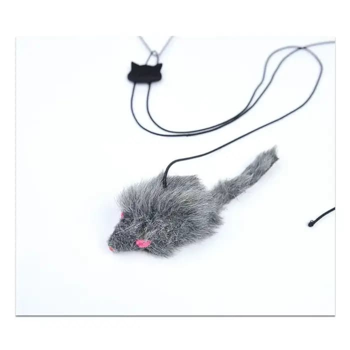 Nouveau Jouet suspendu pour chat