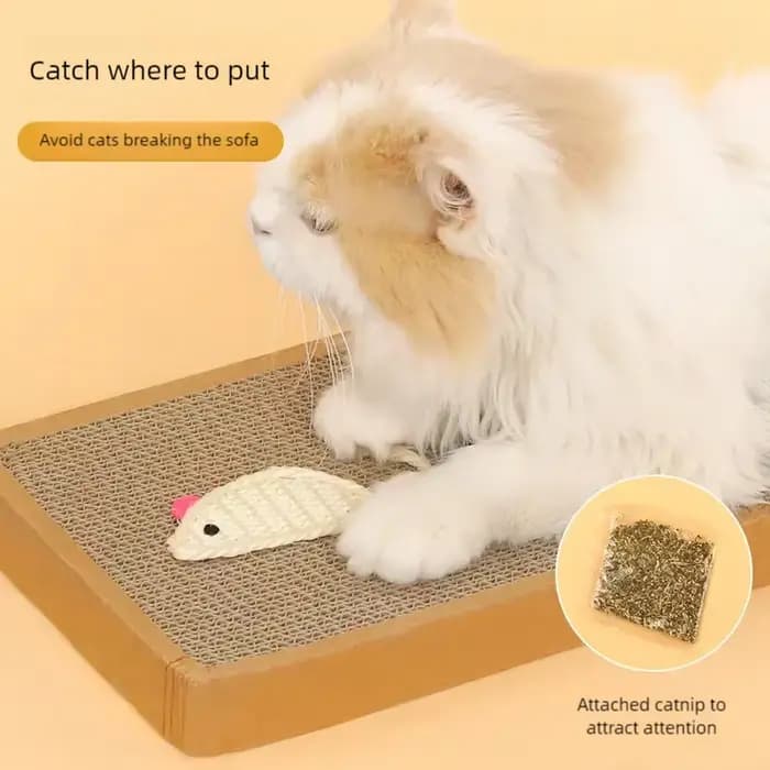 Planche à gratter pour chat de compagnie-grattoir pour tapis en carton