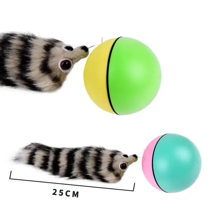 Jouets de balle interactifs pour chat