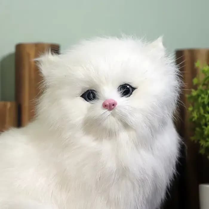 1 jouet en peluche chat persan blanc – Animal
