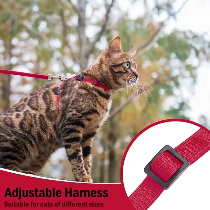 Ensemble harnais et laisse pour chat