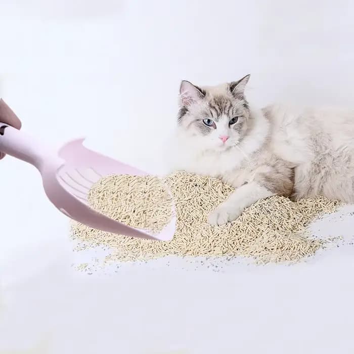 Pelle à litière pour chat mignonne